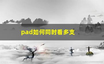 “pad如何同时看多支股票